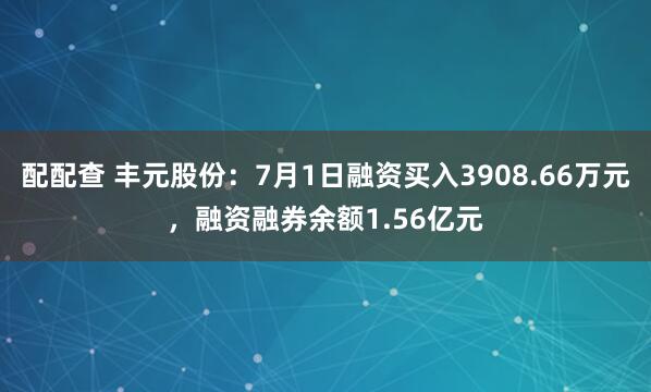 配配查 丰元股份：7月1日融资买入3908.66万元，融资融券余额1.56亿元