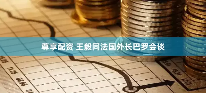 尊享配资 王毅同法国外长巴罗会谈