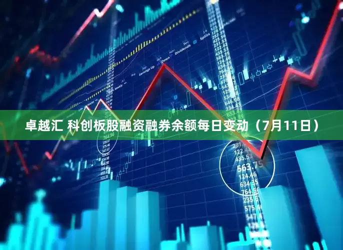 卓越汇 科创板股融资融券余额每日变动（7月11日）