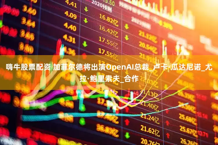嗨牛股票配资 加菲尔德将出演OpenAI总裁_卢卡·瓜达尼诺_尤拉·鲍里索夫_合作