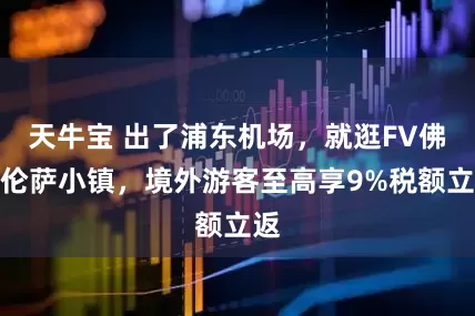 天牛宝 出了浦东机场，就逛FV佛罗伦萨小镇，境外游客至高享9%税额立返